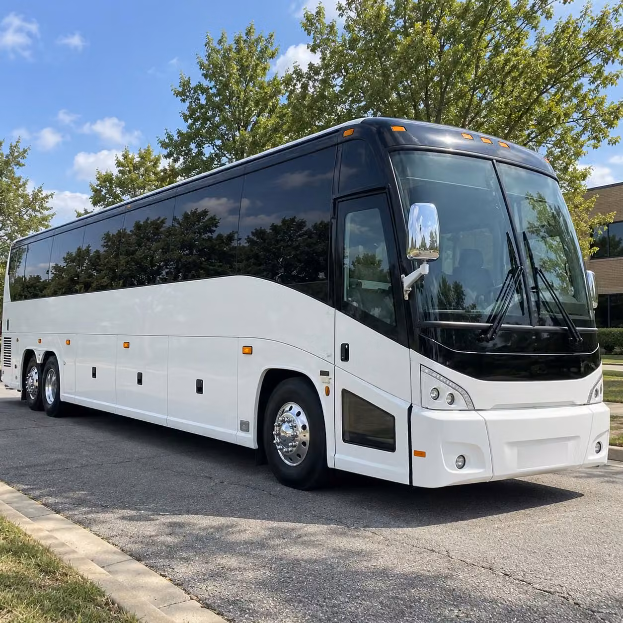prom homecoming transportation services in tyler